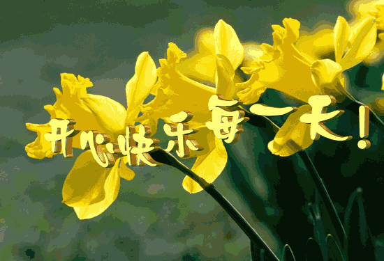 2a2be3446229503acefca3ea.gif