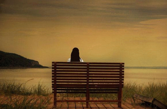 观海！.gif