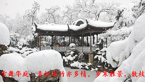 雪乡04.gif