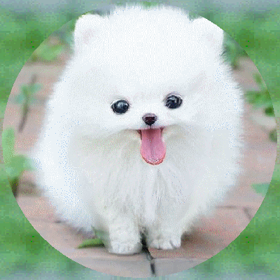 a28.gif