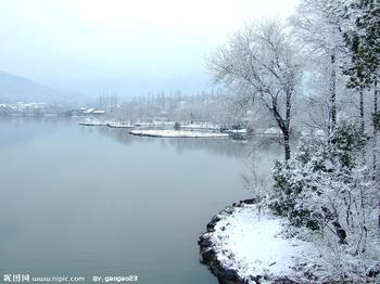 u=3740634504,1094531753&fm=23&gp=0.jpg