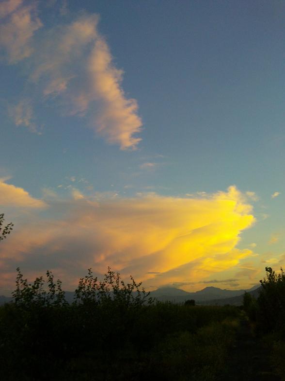 YP20120902185325.jpg