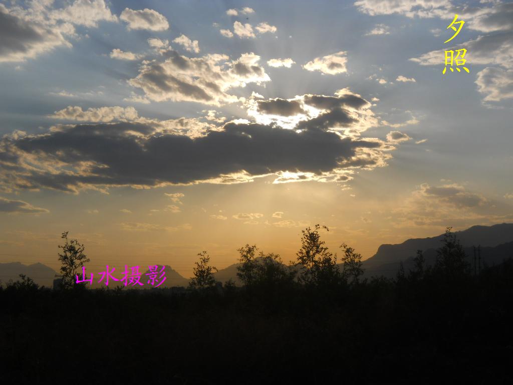 DSCN0769.jpg