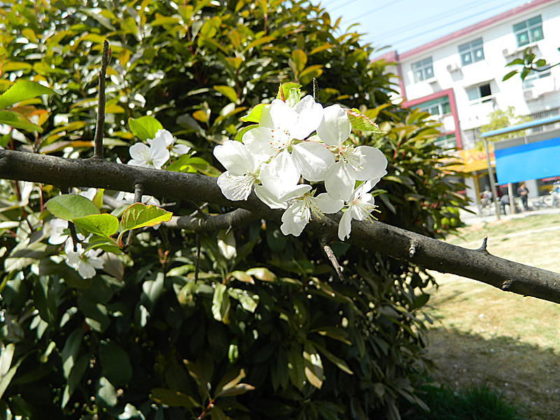 DSCN2846_副本.jpg