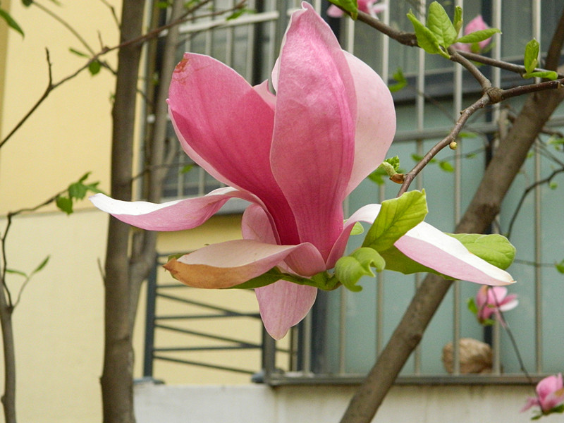 DSCN2809_副本.jpg
