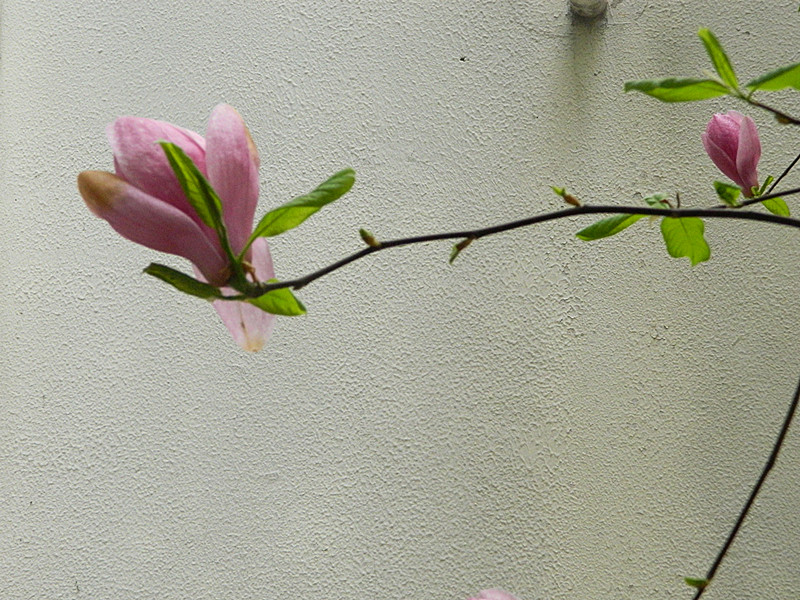 DSCN2804_副本.jpg