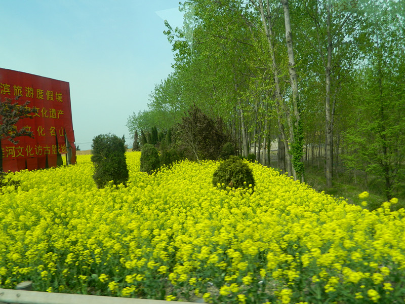 DSCN3138_副本.jpg