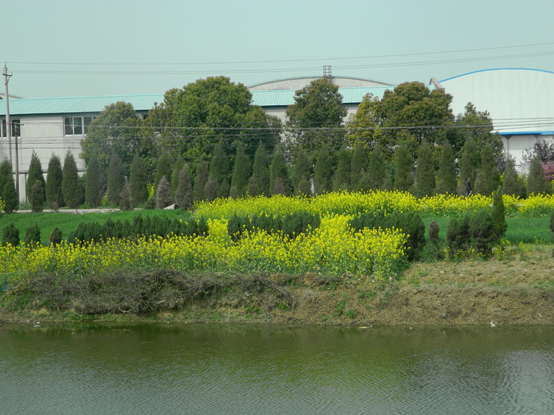 DSCN3162_副本.jpg