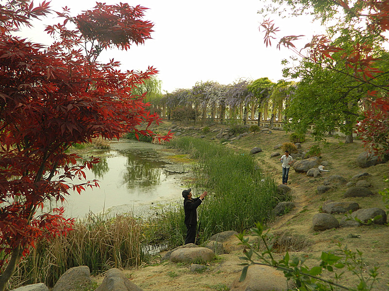 DSCN4407_副本.jpg