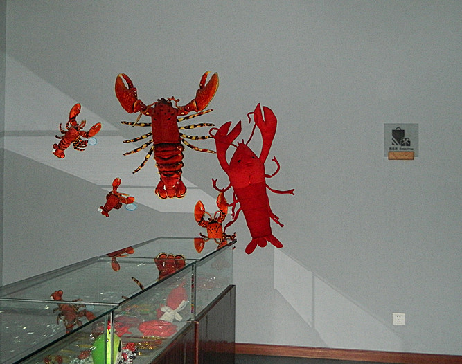 DSCN3718_副本.jpg