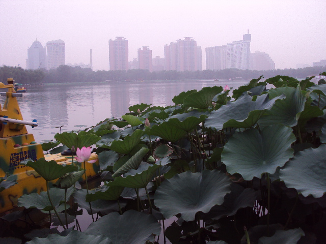 DSC01360.JPG