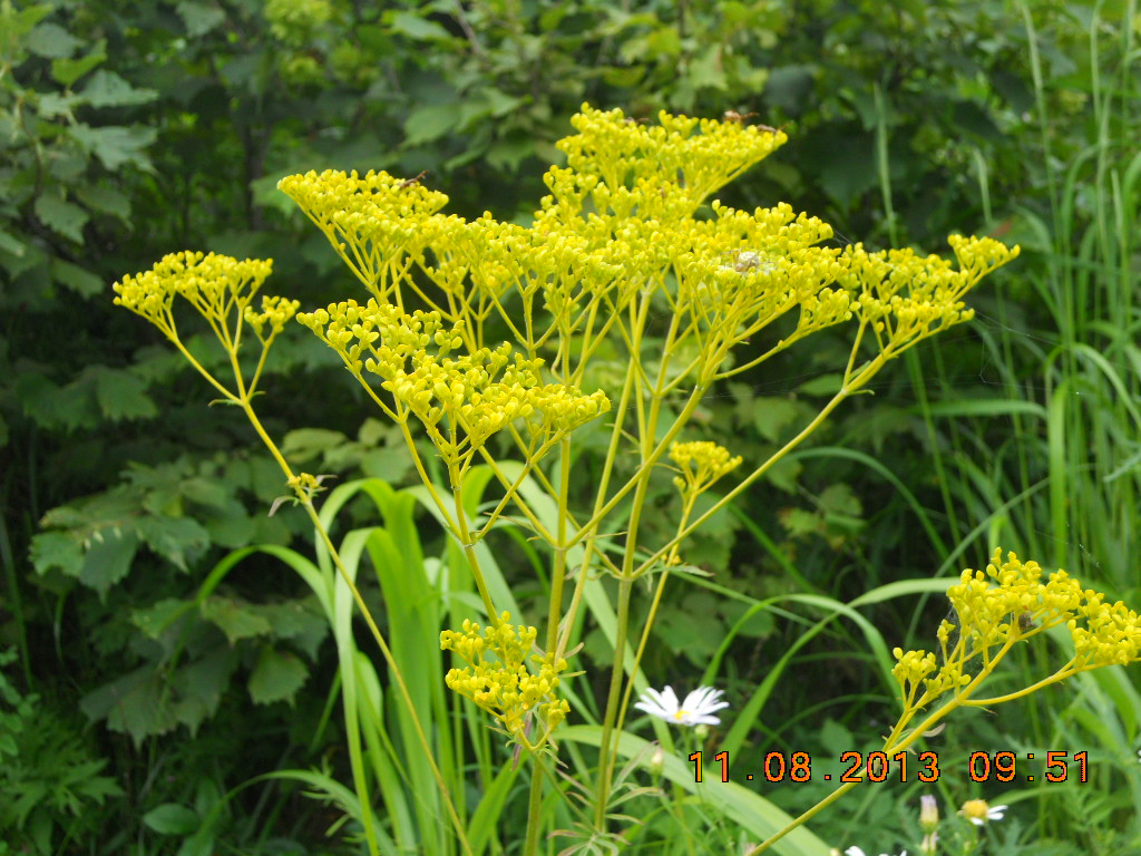 DSCN1099.jpg