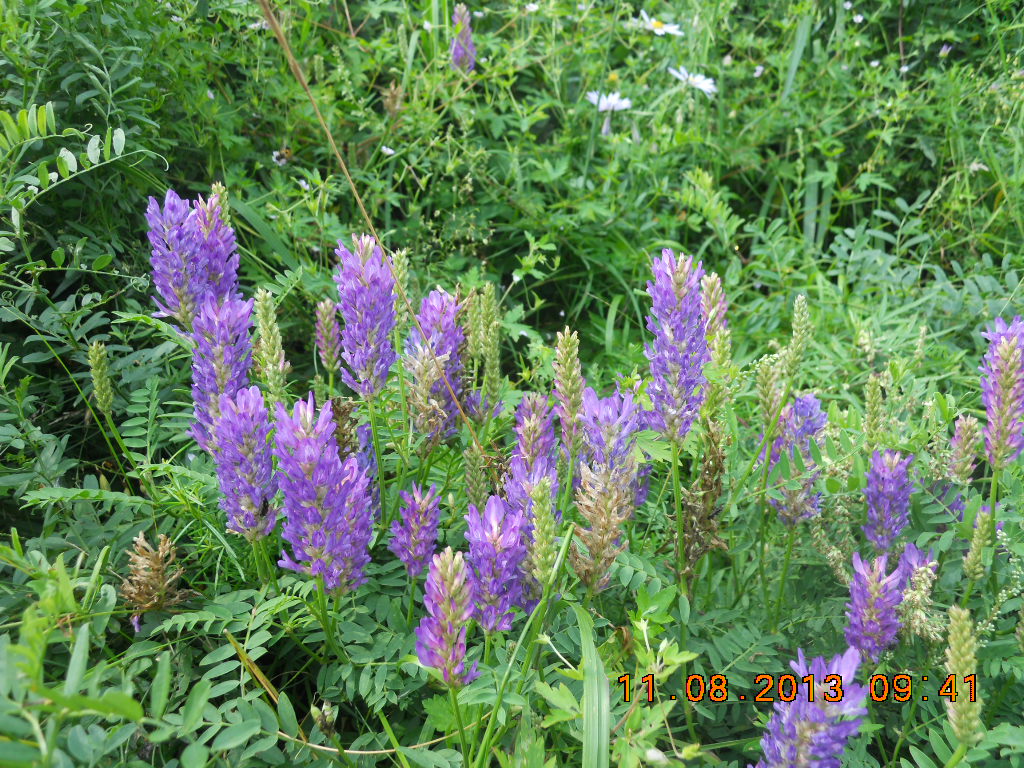 DSCN1084.jpg