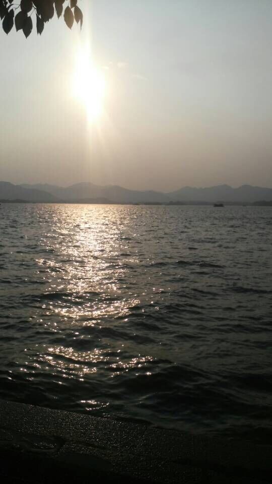 QQ图片20141102190004.jpg