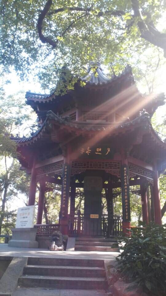 QQ图片20141104094012.jpg