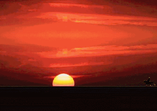 b14.gif