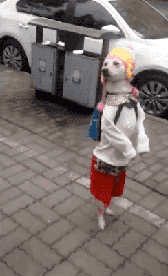 c01.gif