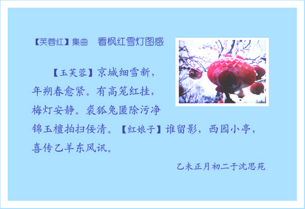 芙蓉红-看枫红雪灯图感.jpg