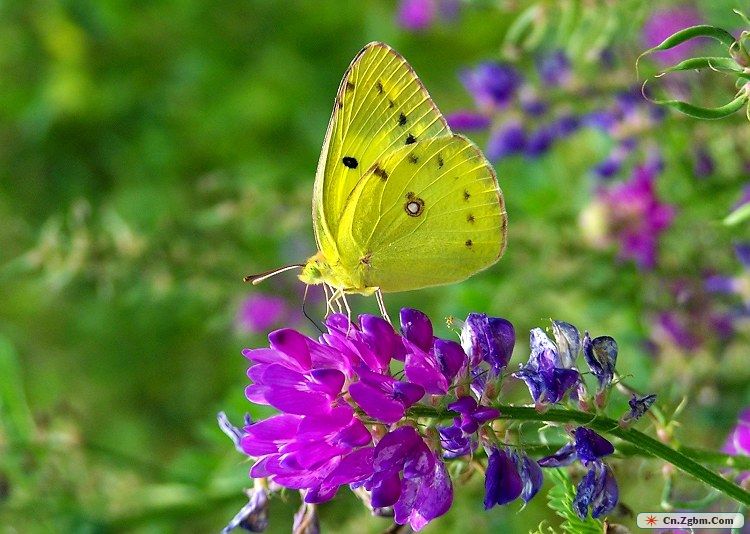 100_5250.JPG