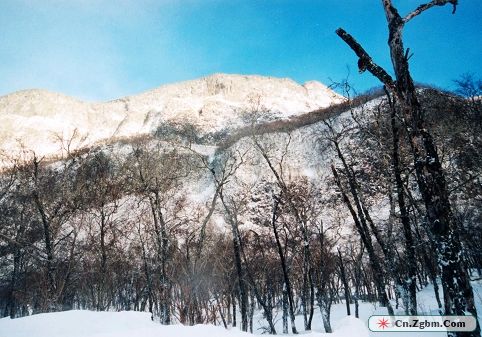 冬天的长白山（程远摄）.jpg