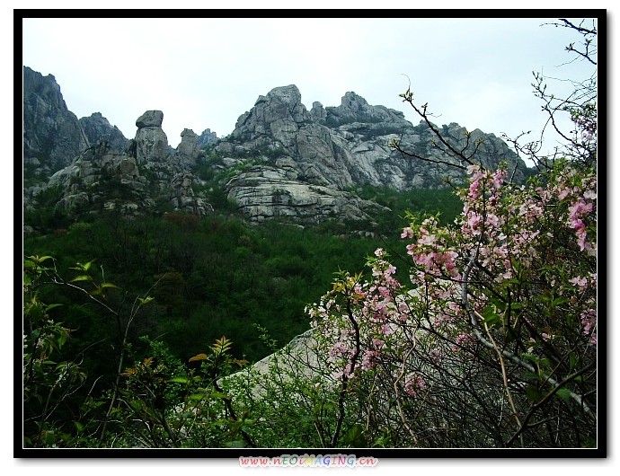 img074.jpg